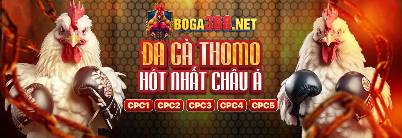 Đá gà trực tuyến kịch tính tại win555 code